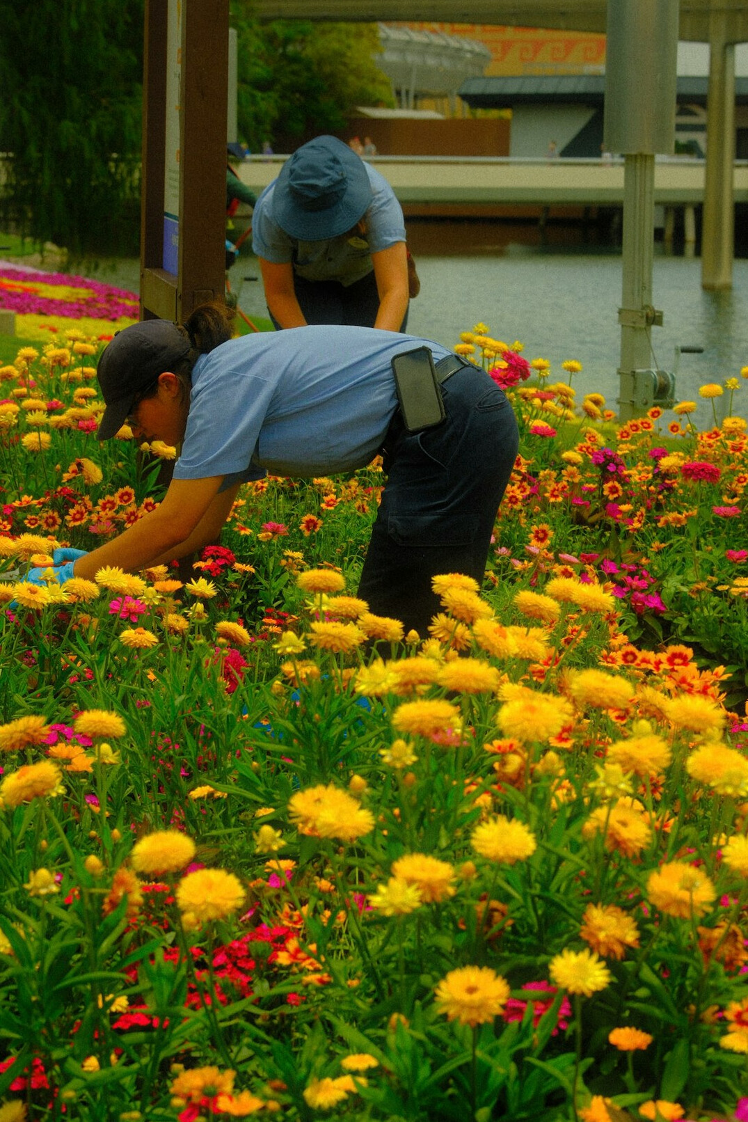 Older adults gardening together in a community garden