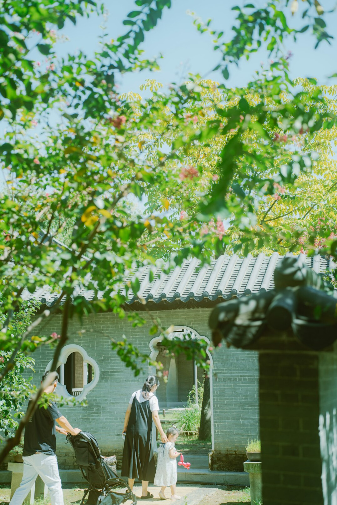 group of seniors in garden