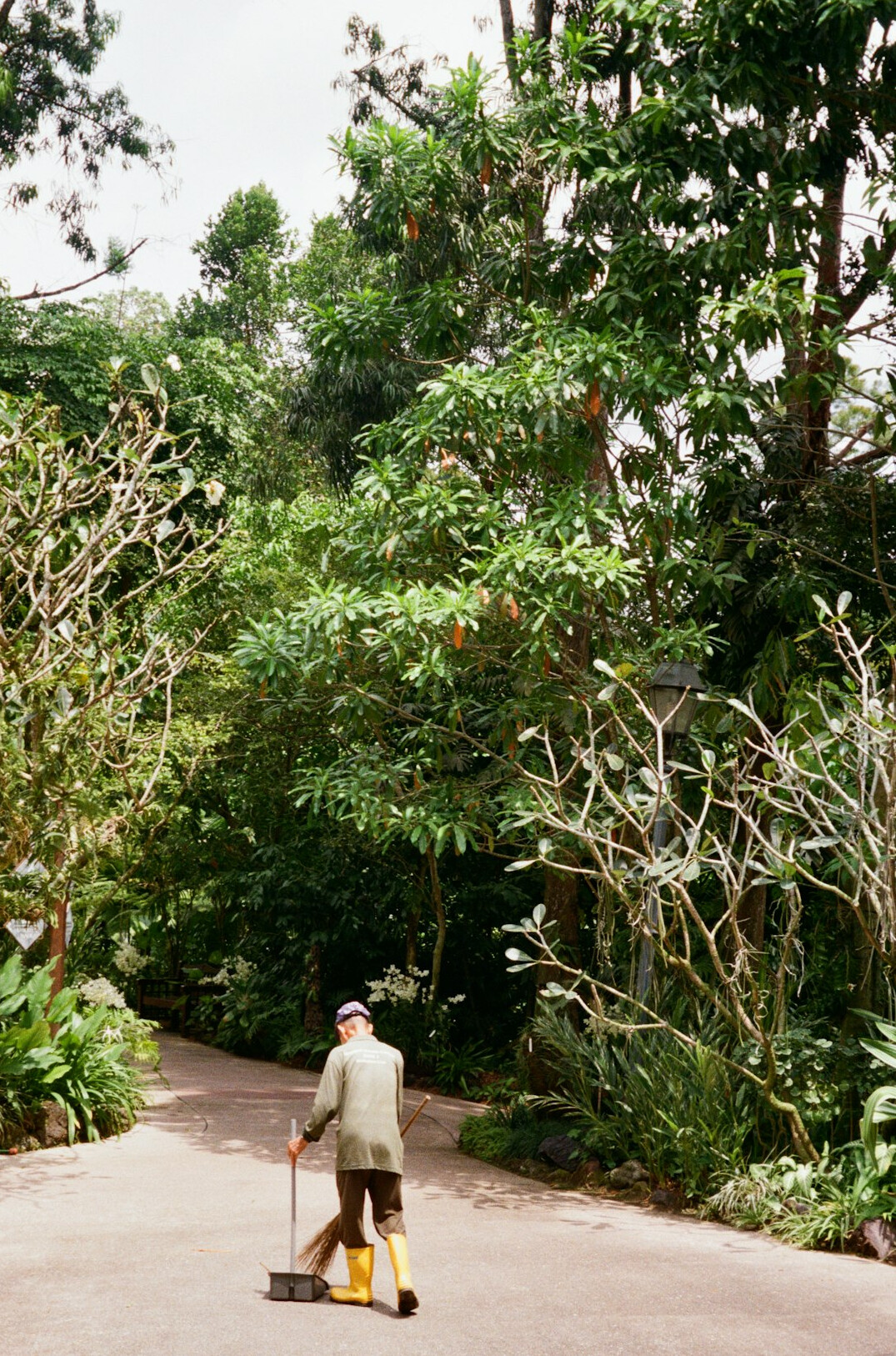 seniors walking in garden